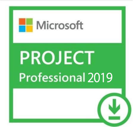 Microsoft Project Professional 2019　日本語版